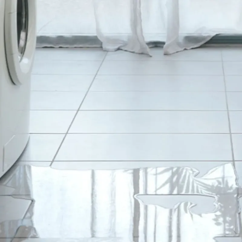 Appliance Leak Cleanup in Santa Cruz County, AZ