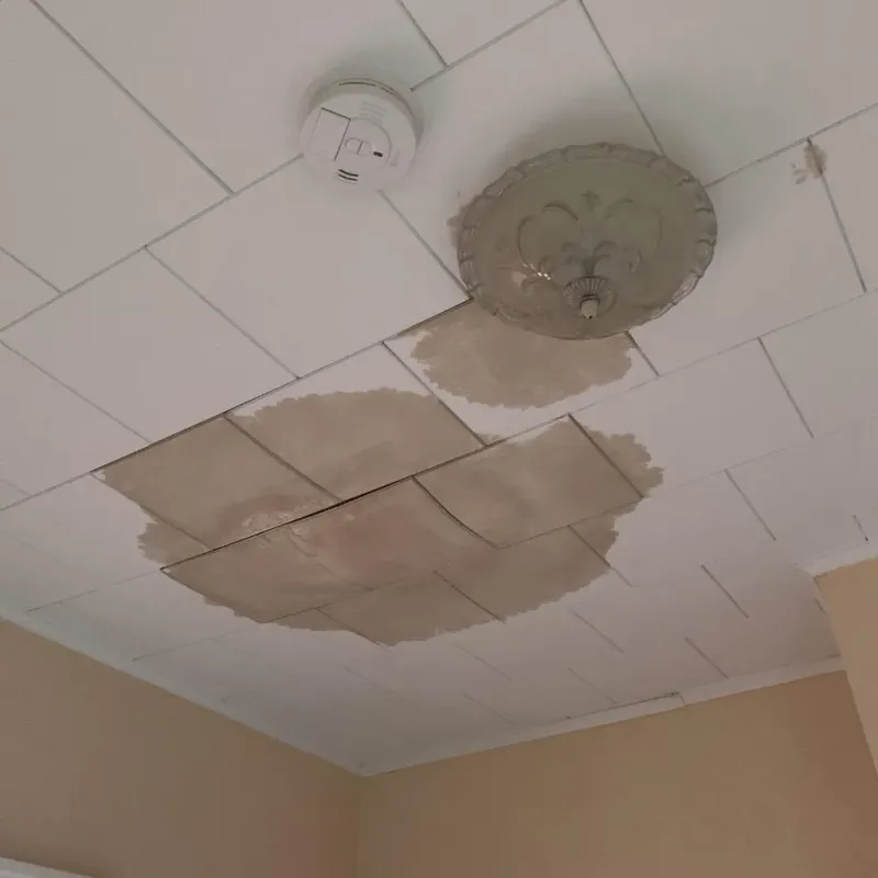 Ceiling Water Damage Repair in Santa Cruz County, AZ