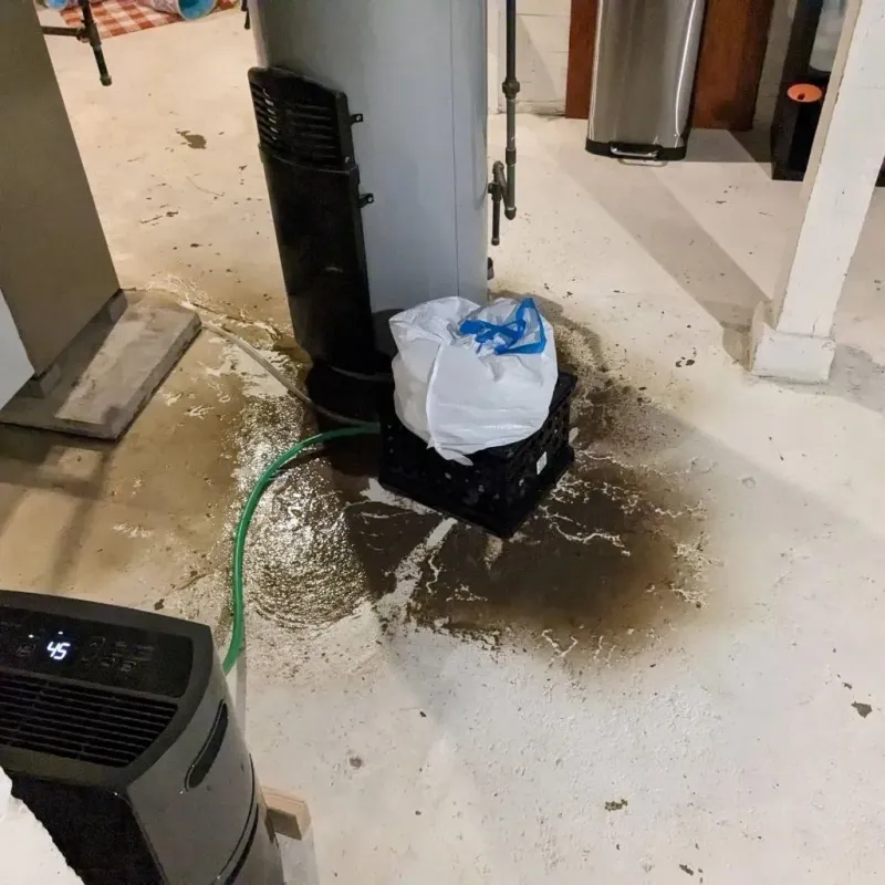 Sewage Backup Cleanup Service in Santa Cruz County, AZ
